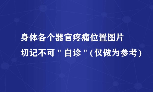身体各个器官疼痛位置图片 切记不可＂自诊＂(仅做为参考)