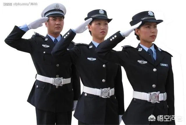 安阳警方摧毁一盗窃古墓葬团伙，追缴文物30余件, 你怎么看？