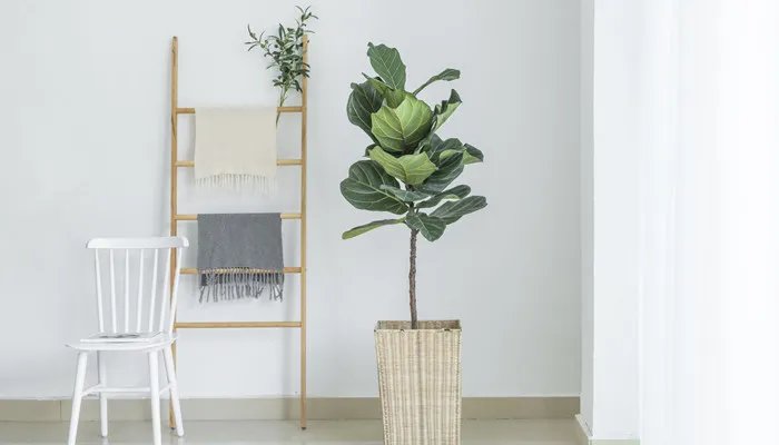 内墙墙壁渗水怎么解决 内墙墙壁渗水的解决方法