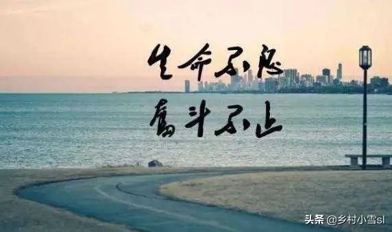 农村沼气池的建造和使用情况怎么样？