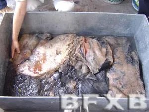 “太岁”究竟是什么神秘“太岁”的真面目