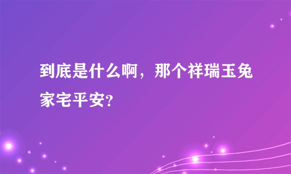 到底是什么啊，那个祥瑞玉兔家宅平安？