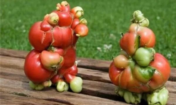 日本福岛泄露的吸入几秒就会丧命的剧毒到底是“何方神圣”？