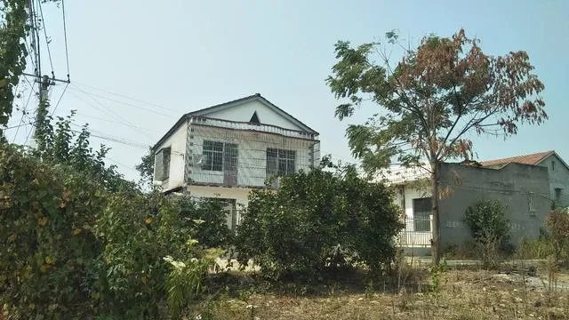 农村自建房三层真实图