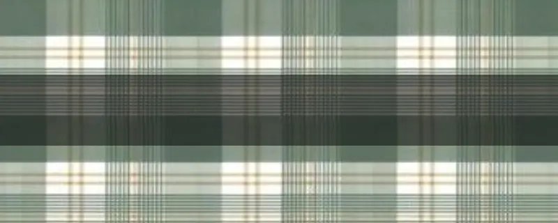 把洋葱放入耳朵