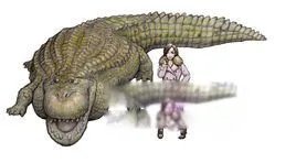 亚马逊莫拉氏鳄vs泰坦蟒谁更厉害 亚马逊莫拉氏鳄有多大