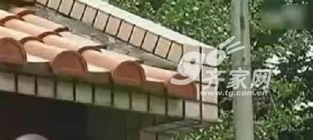 曝光：琼瑶阿姨5亿7层独栋庭院豪华别墅