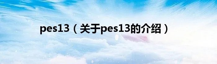 pes13（关于pes13的介绍）