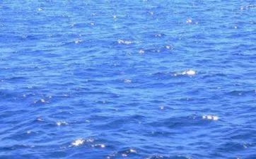 壬戌癸亥大海水命详解 癸亥纳音大海水自有成就