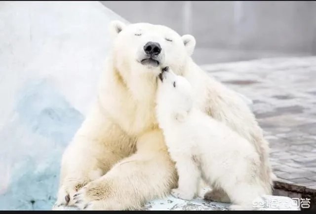 大家收藏的最匪夷所思的图片是怎样的？