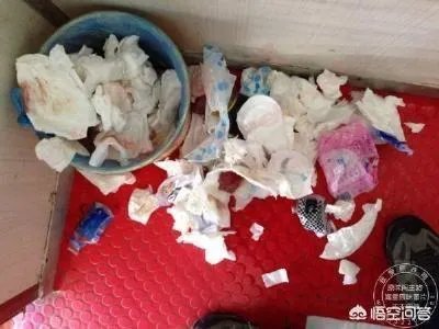 有些女生宿舍能有多脏？
