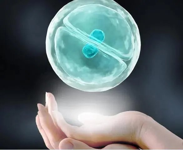 试管捐卵取卵过程-【捐卵】捐卵的危害