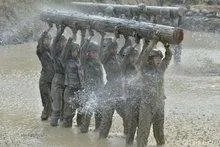 特种兵之火凤凰主要演的什么剧情？