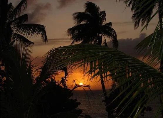 2020年入伏和出伏时间表  今年最新三伏天起止时间