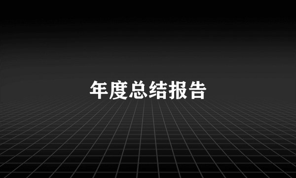年度总结报告