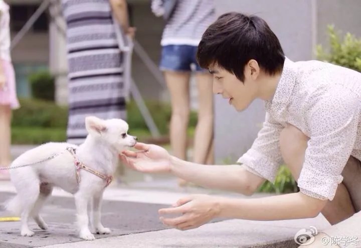 陈学冬吧的介绍