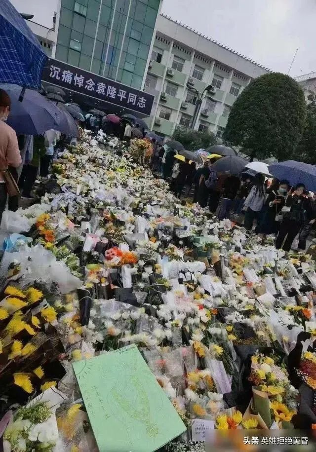 我们现在吃的大米，是袁隆平教授研发的杂交水稻吗？