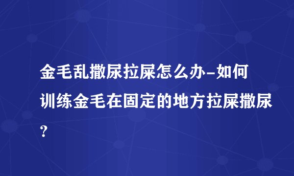金毛乱撒尿拉屎怎么办-如何训练金毛在固定的地方拉屎撒尿？