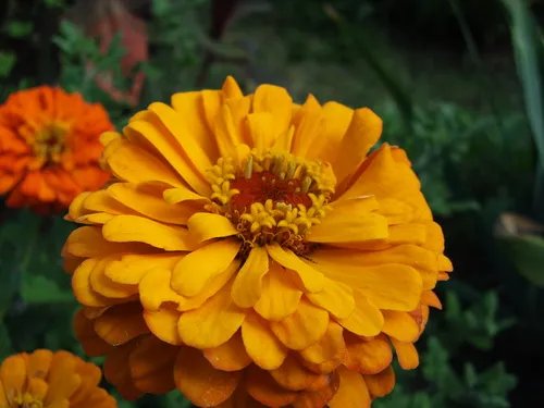 能通话的1200W像素相机 三星W880评测