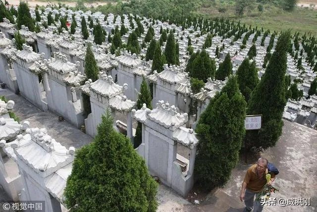 墓地太贵怎么解决？