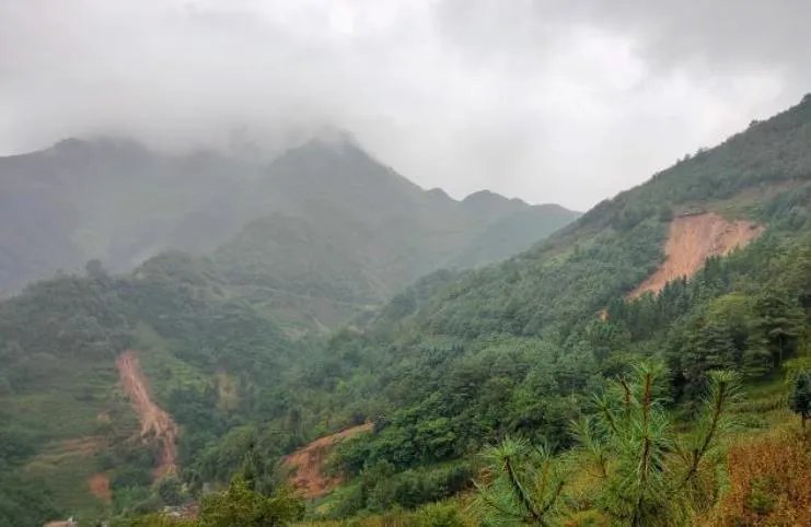 云南巧家泥石流最新更新动态 两家人房子被埋