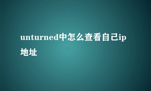 unturned中怎么查看自己ip地址