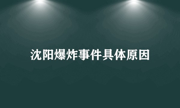 沈阳爆炸事件具体原因