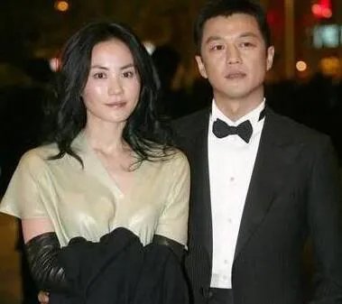 李亚鹏与王菲离婚的原因是什么？