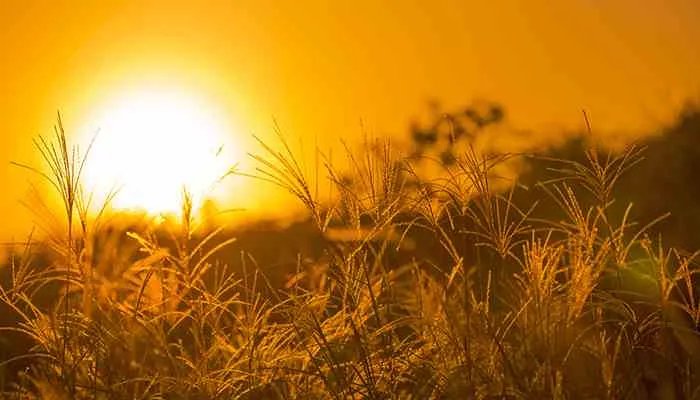 中秋节高速免费吗 中秋节高速是否免费