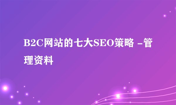 B2C网站的七大SEO策略 -管理资料