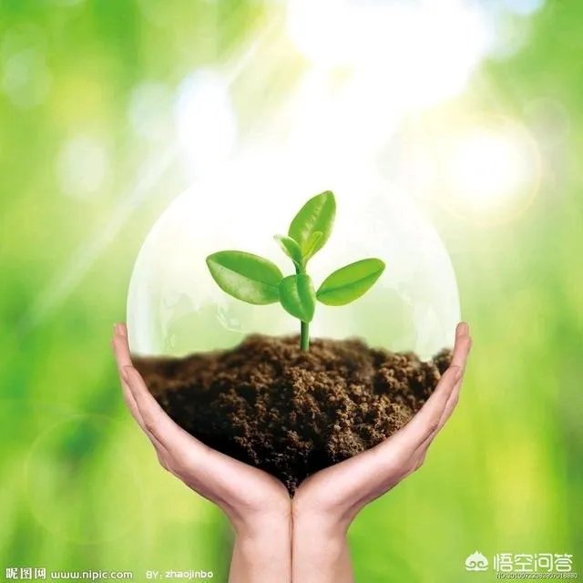 怎样才能不抑郁？