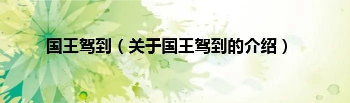 国王驾到（关于国王驾到的介绍）
