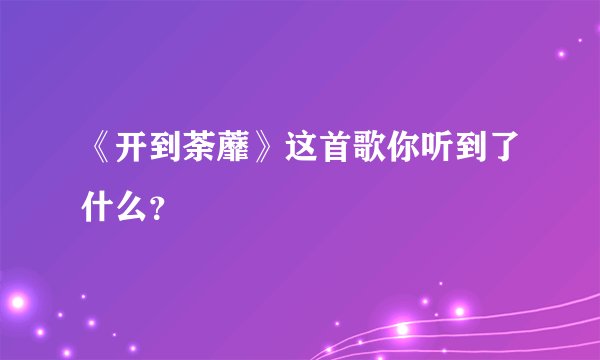 《开到荼蘼》这首歌你听到了什么？