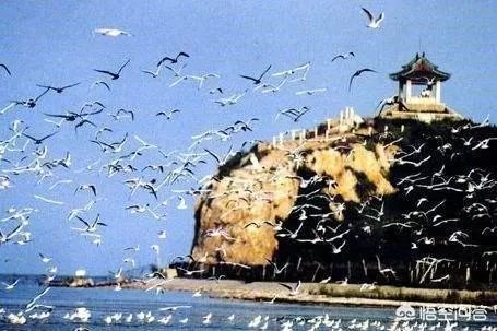 北戴河、南戴河和东戴河，哪里的人少，环境好？