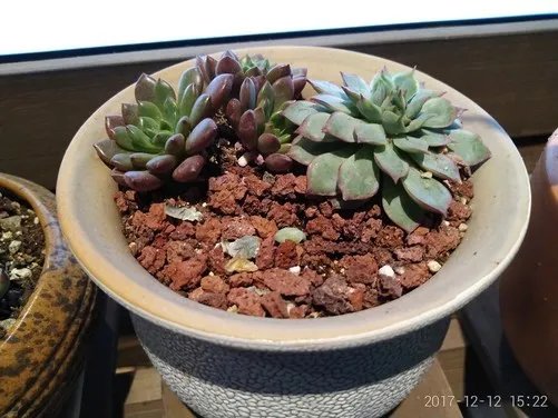 360 N6 Lite评测:4020mAh电池千元续航怪兽