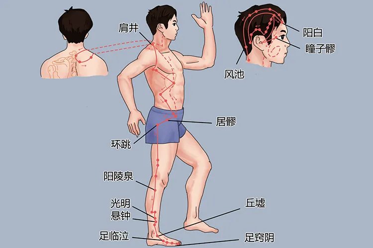 人体颈部经络图