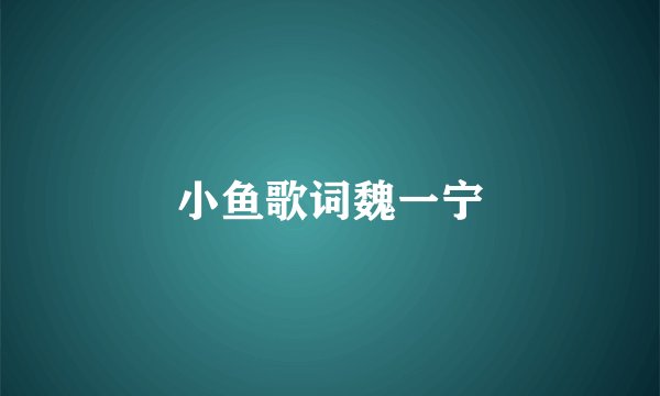 小鱼歌词魏一宁