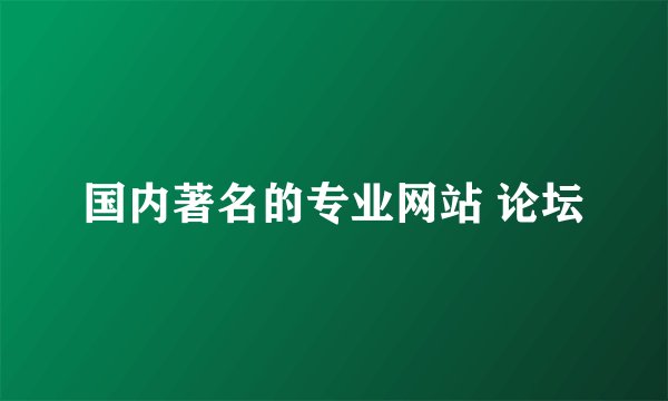 国内著名的专业网站 论坛