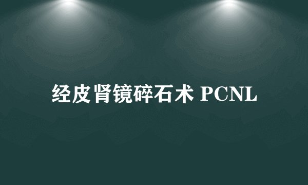 经皮肾镜碎石术 PCNL
