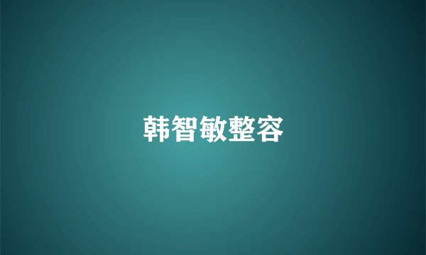 韩智敏整容