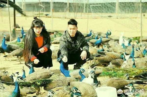 你们农村致富故事有哪些？