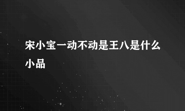 宋小宝一动不动是王八是什么小品