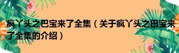 疯丫头之巴宝来了全集（关于疯丫头之巴宝来了全集的介绍）