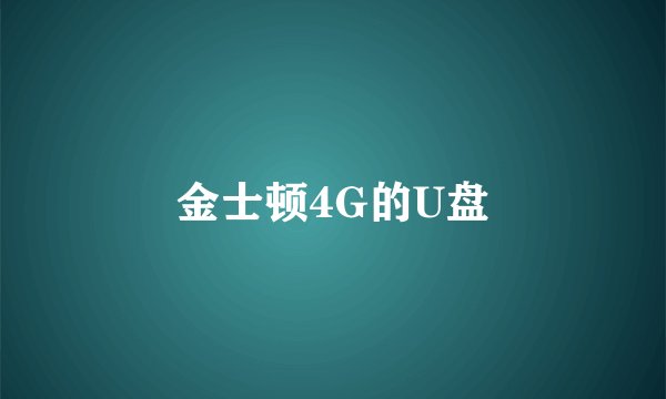 金士顿4G的U盘