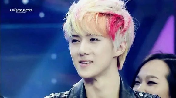 球吴世勋快本可爱颂的动图、还有他其他的动图+图片都可以 要萌啊