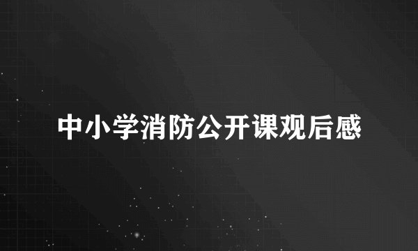 中小学消防公开课观后感