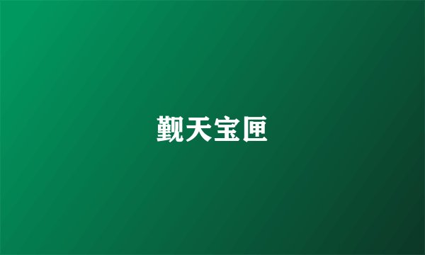觐天宝匣