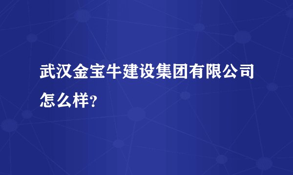 武汉金宝牛建设集团有限公司怎么样？