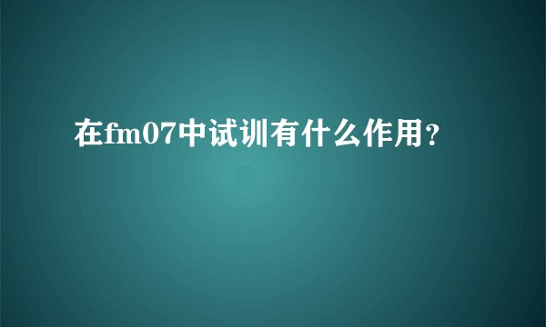 在fm07中试训有什么作用？
