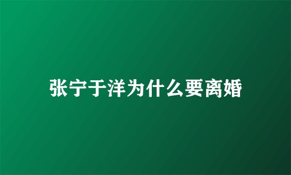 张宁于洋为什么要离婚